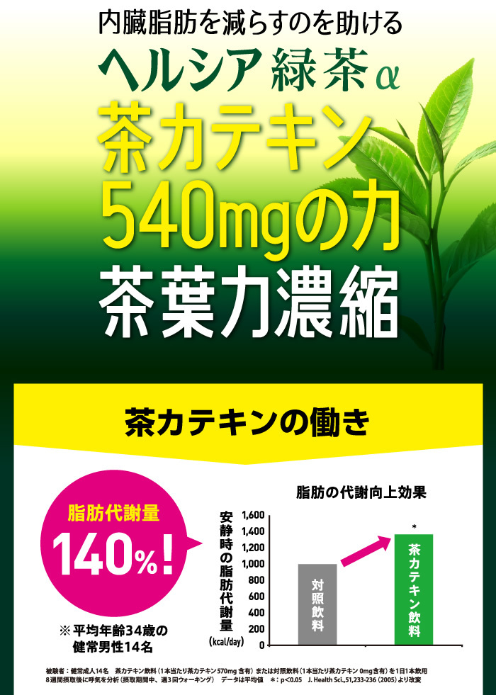 茶カテキン540mgの力　緑茶葉濃縮