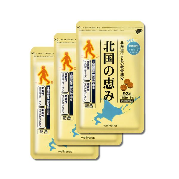 北国の恵み 93粒×3袋 約3ヶ月分 プロテオグリカン サプリ 