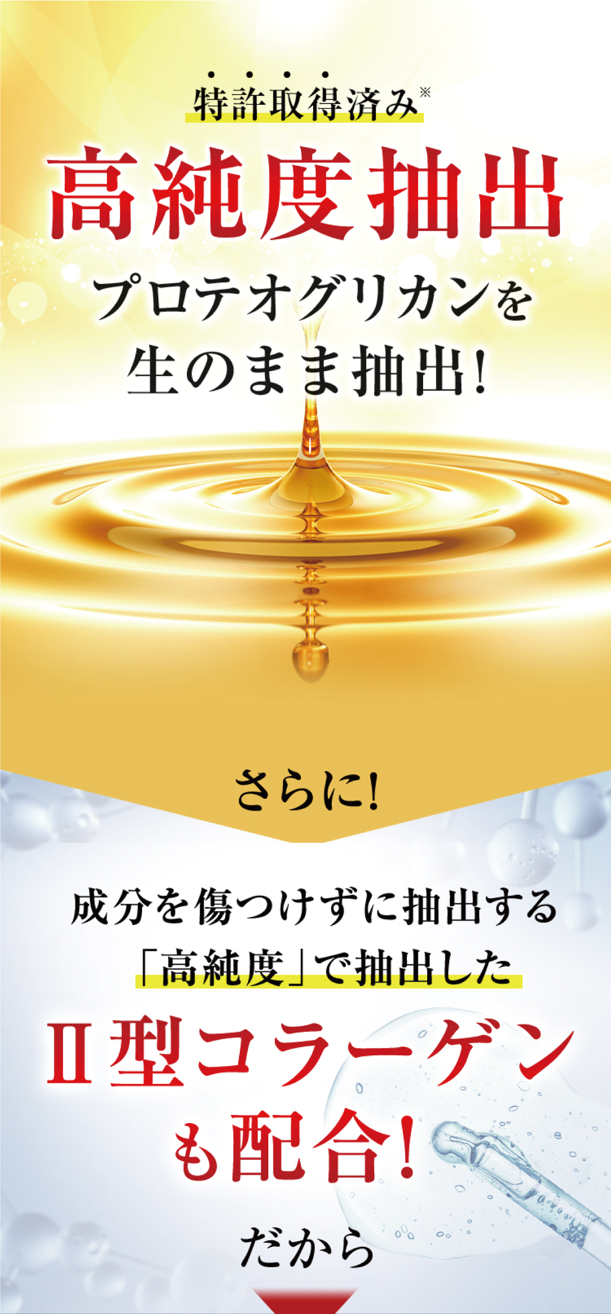 北国の恵み 93粒 約1ヶ月分 プロテオグリカン サプリ サプリメント