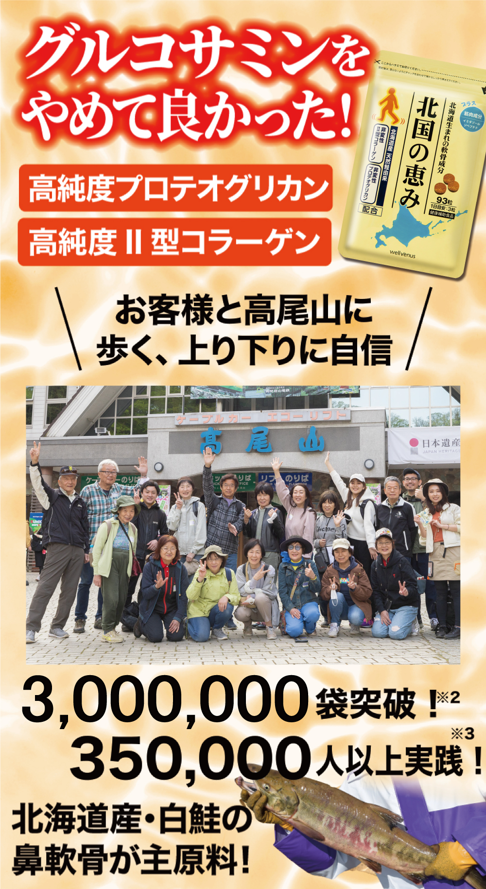 北国の恵み 93粒×3袋 約3ヶ月分 プロテオグリカン サプリ サプリメント グルコサミン コンドロイチン と好相性 2型コラーゲン : ra5208  : ウェルヴィーナスYahoo!ショッピング店 - 通販 - Yahoo!ショッピング