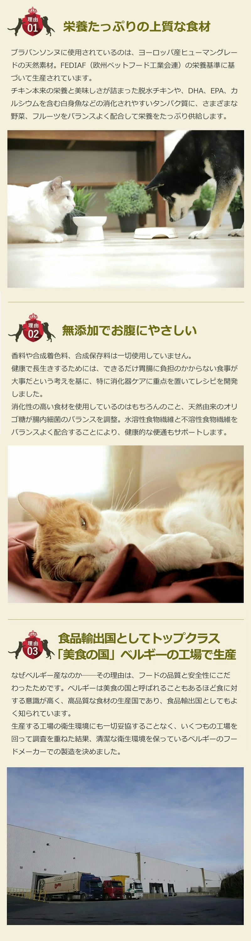 ブラバンソンヌおすすめの3つの理由