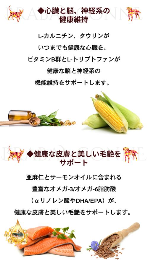 BRABANCONNE（ブラバンソンヌ） シニア犬 用 ドッグフード エイジング