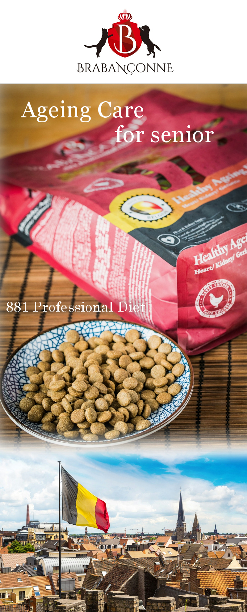 BRABANCONNE（ブラバンソンヌ） シニア犬 用 ドッグフード エイジング