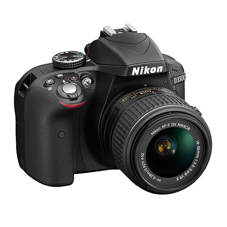 Nikon デジタル一眼レフカメラD3300 APS-C レンズキット 中古 AF-S DX