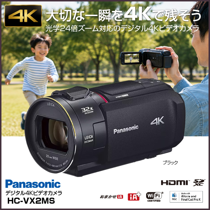 Panasonic（パナソニック） 【付属品揃った良品】Panasonic HC-VX2MS