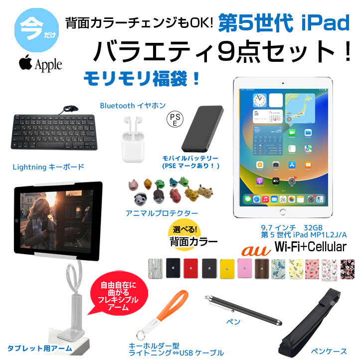 第5世代 iPad 便利に使える付属品付もりもり9点福袋 】Apple iPad5 第5 