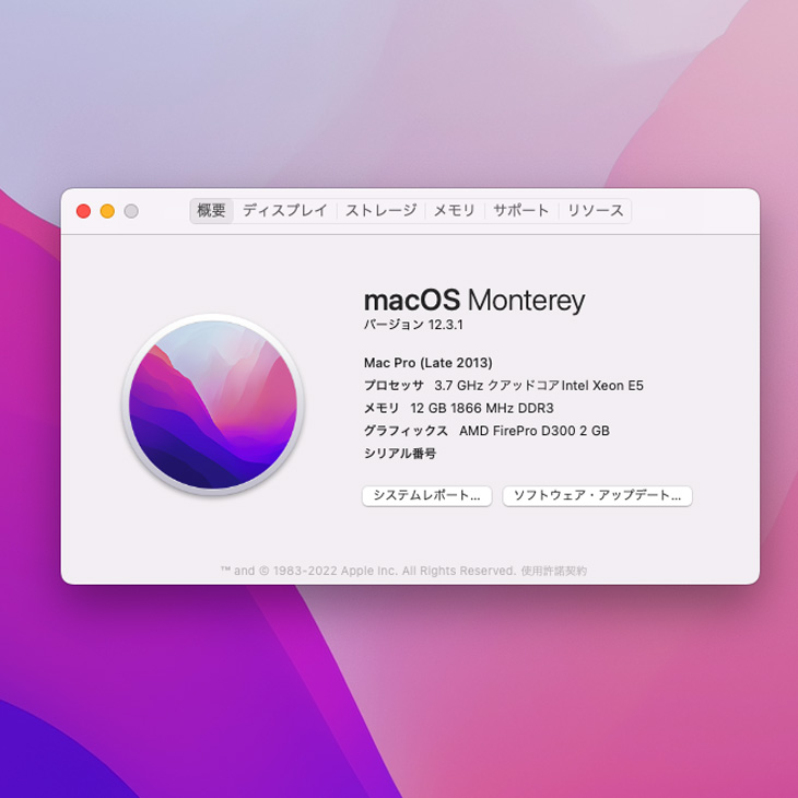 Mac Pro Apple ME253J/A A1481 Late 2013 AMD FirePro D300×2基搭載