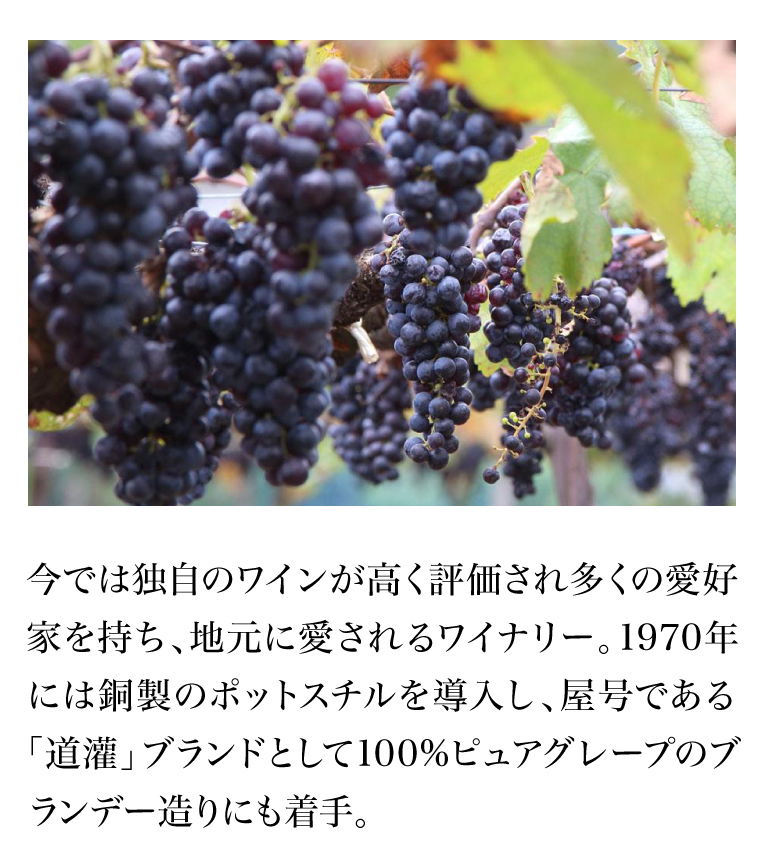 送料無料 DOKAN BRANDY Aged 32 years 720ml 50度 道灌 ブランデー 32