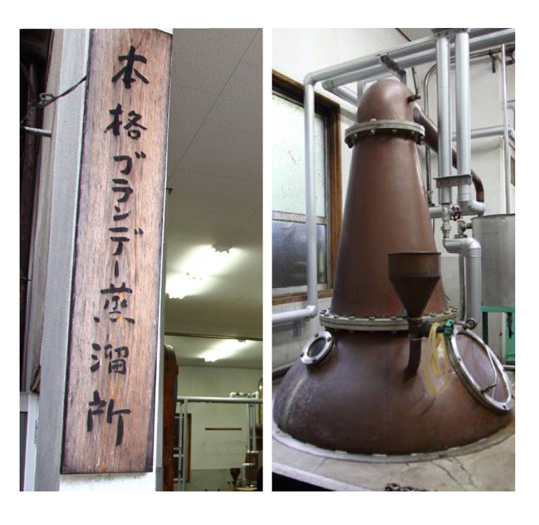 送料無料 DOKAN BRANDY Aged 32 years 720ml 50度 道灌 ブランデー 32