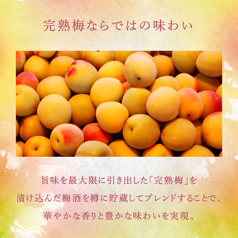 2/27〜3/1限定 全品P3倍 サントリー 梅酒 山崎蒸溜所貯蔵梅酒ブレンド