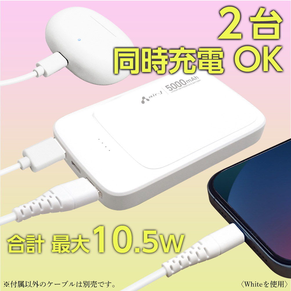 モバイルバッテリー 5000mAh リン酸鉄 LiFePO4 長持ち 1000回 充放電 2