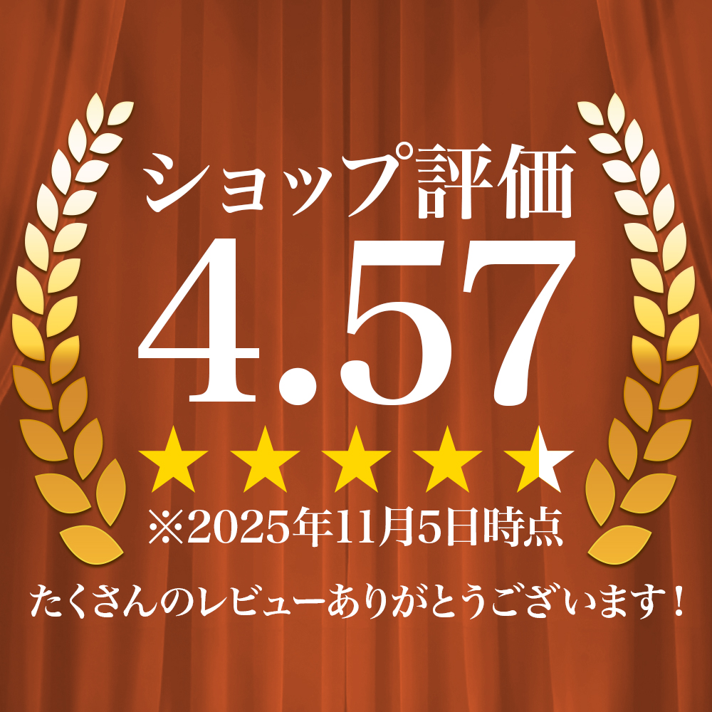 ray-out（レイアウト） iPhone14ProMax 手帳型ケース レッド 赤 iPhone