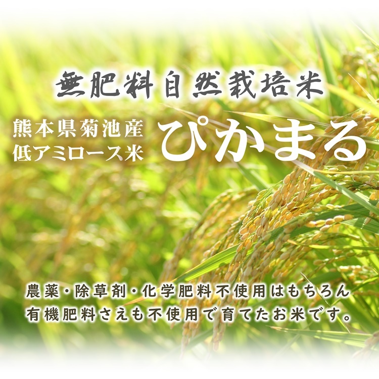 低アミロース米 ぴかまる 5kg 令和5年産 無肥料 自然栽培米 農薬化学