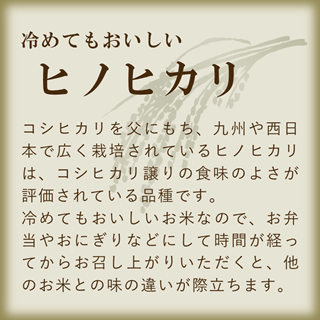SAKURA様 農薬不使用 化学肥料不使用 ヒノヒカリ 白米 20kg SAKURA様 農薬不使用 化学肥料不使用 ヒノヒカリ 白米 20kg