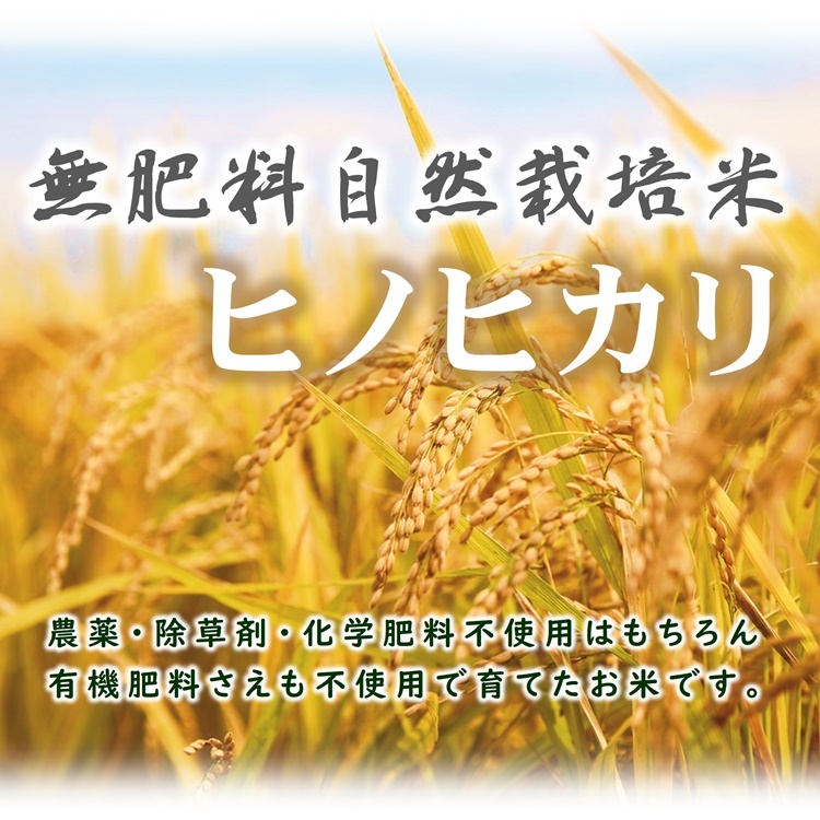 新米予約 無肥料 自然栽培米 令和6年産 ヒノヒカリ 5kg 農薬化学肥料不使用 白米 玄米 : 0030 : 熊本四季農園Yahoo!店 - 通販  - Yahoo!ショッピング