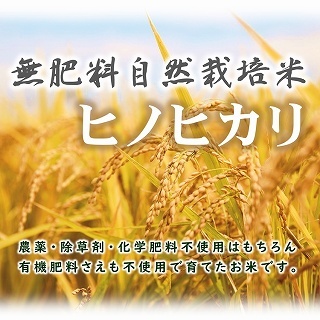 新米予約 無肥料 自然栽培米 令和6年産 ヒノヒカリ 10kg 農薬化学肥料不使用 白米 玄米