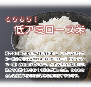 低アミロース米 ぴかまる 10kg 令和7年産 無肥料 自然栽培米 農薬化学