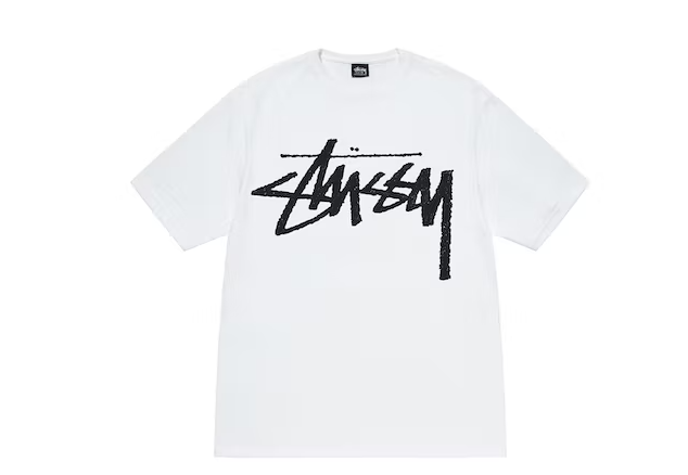 STUSSY ステューシー Big S LCB SS Tee 半袖 ロゴ Tシャツ 210.jpg