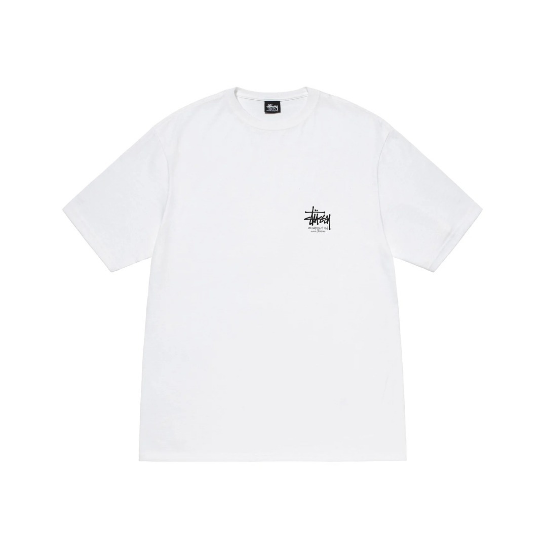 STUSSY (ステューシー) DRAGON TEE 1904847 メンズ 半袖 Tシャツ