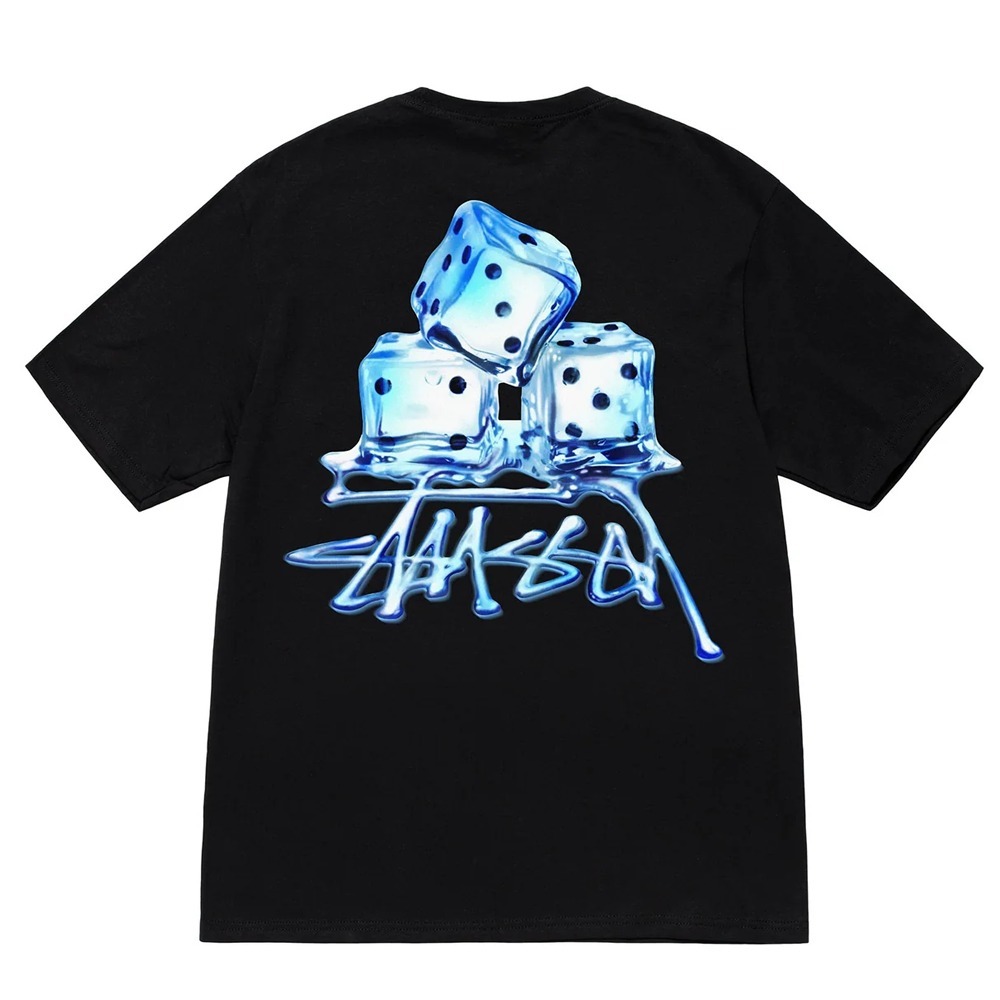 STUSSY (ステューシー) MELTED TEE 1904900 メンズ 半袖 Tシャツ