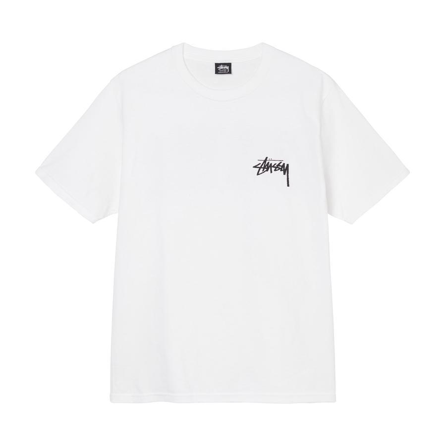STUSSY (ステューシー) OUR LEGACY LAGUNA TEE 3903434 メンズ