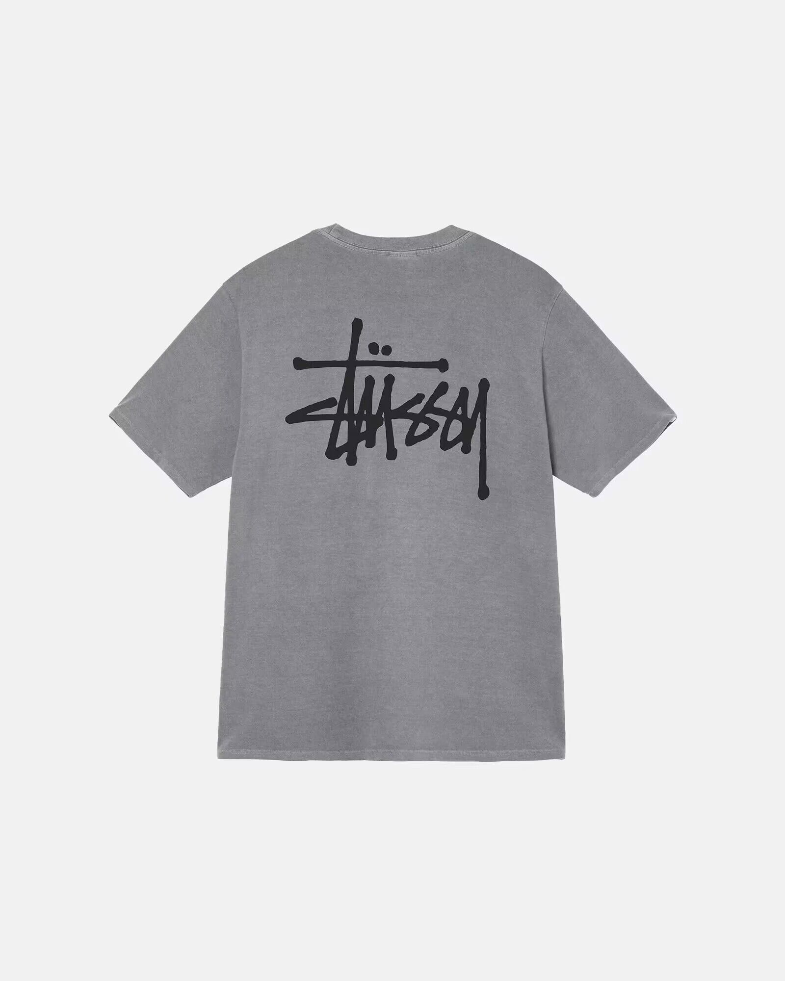 STUSSY (ステューシー) BASIC PIG. DYED TEE 1904879 メンズ