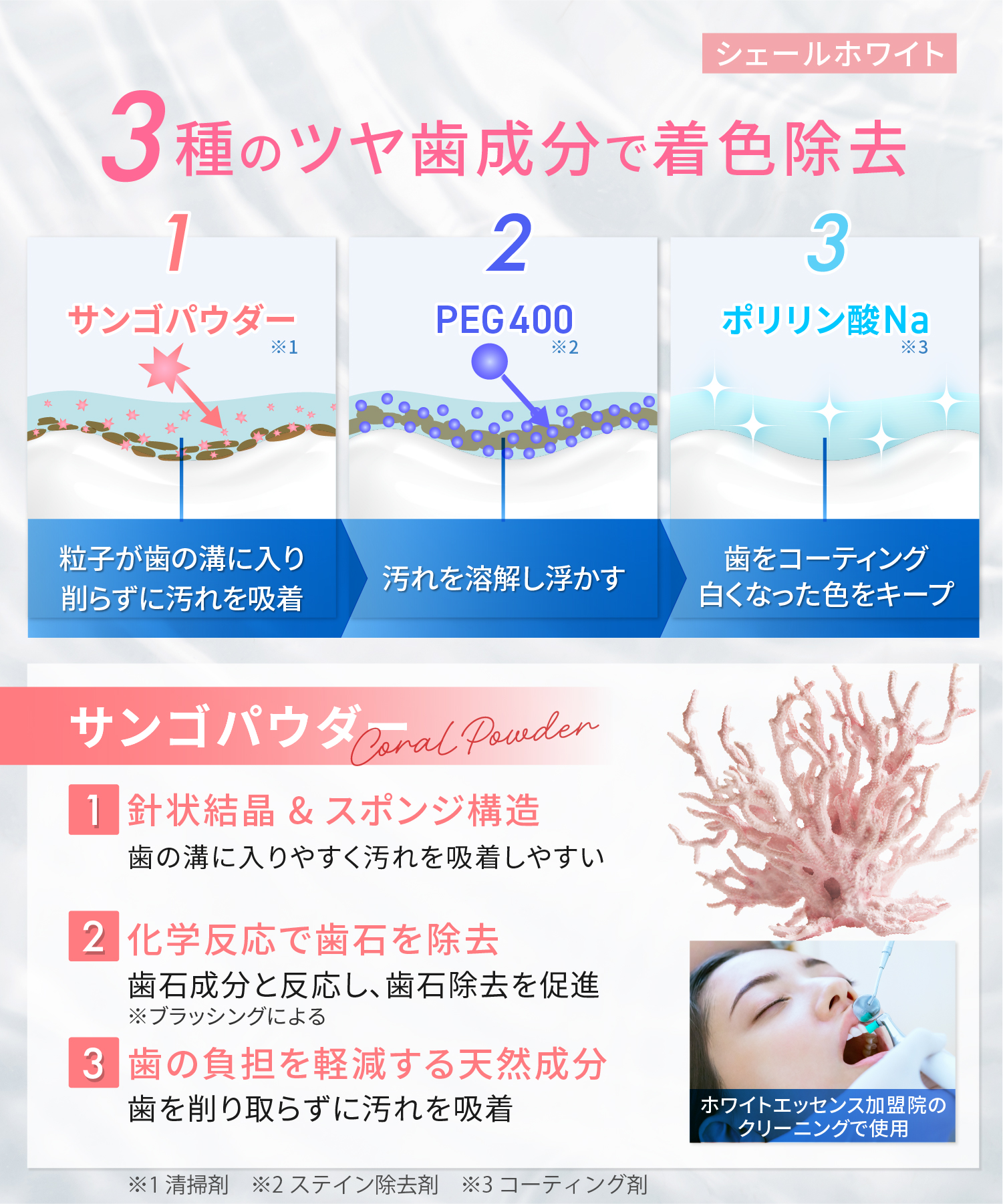 ホワイトエッセンス 審美歯科 歯磨剤 シェールホワイト[医薬部外品