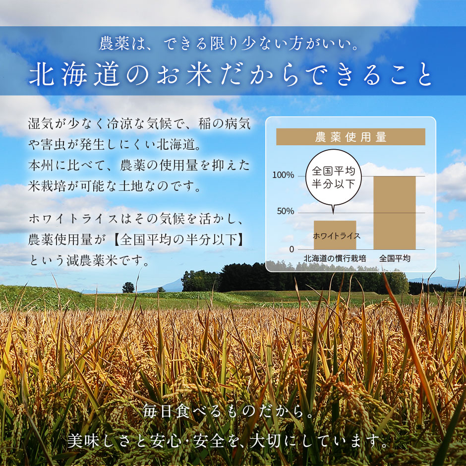 米 お米 令和6年度産 ホワイトライス 10kg ななつぼし 送料無料