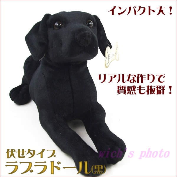 サーバント まっすぐ テンポ 犬 ぬいぐるみ 黒 Kraftvlc Org