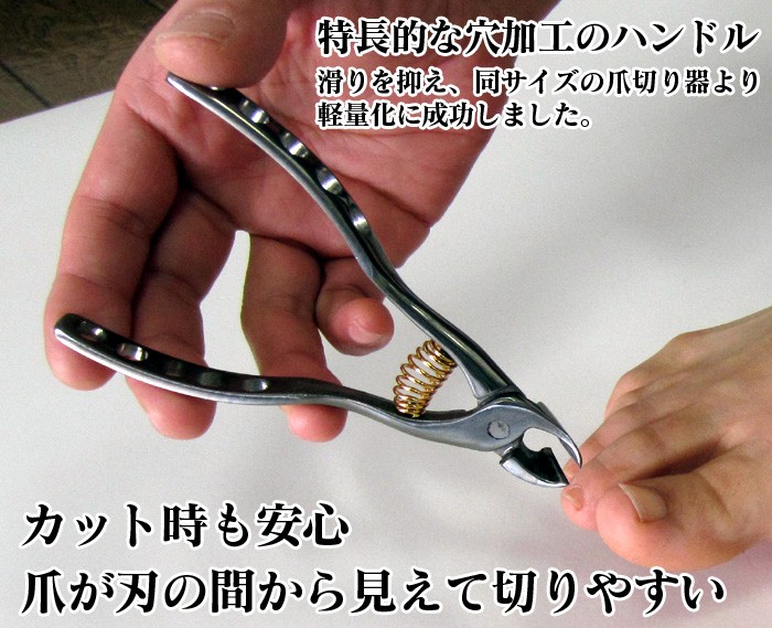 即納☆ 高品質！バーバリーライオン 骨格標本 - 頭骨・骨格標本