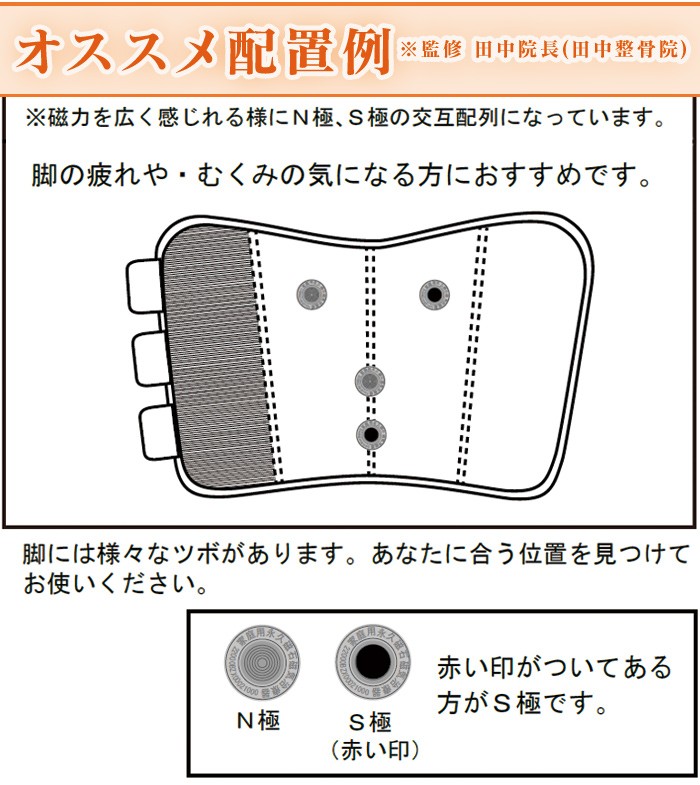 整骨院と考えた ふくらはぎ 磁気 サポーター 1足組（2枚）