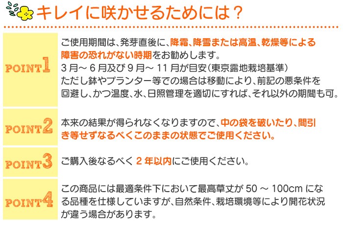 花の種ブレンドパック フラワリーランド 28193 【2パックセット】