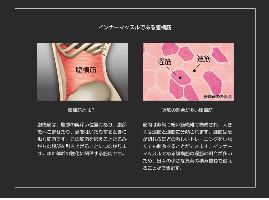 非表示※ シックスパッド SIXPAD シェイプスーツ shape suit