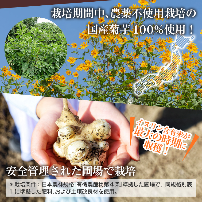 2袋】1袋あたり1300円 菊芋茶 国産 【血糖値の上昇を抑える機能