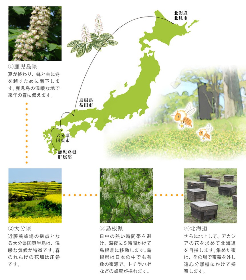 母の日 ギフト 21 実用的 蜂蜜 国産 低温加熱 はちみつ ハチミツ アカシア 日本 百花 瓶詰め ナッツ はちみつ漬け セット 3本ギフト プレゼント プレゼントに 暮らしの幸便 通販 Yahoo ショッピング