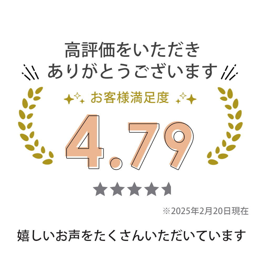 ペット用滑り止めフットパッド　PAW WING （Grip plus）