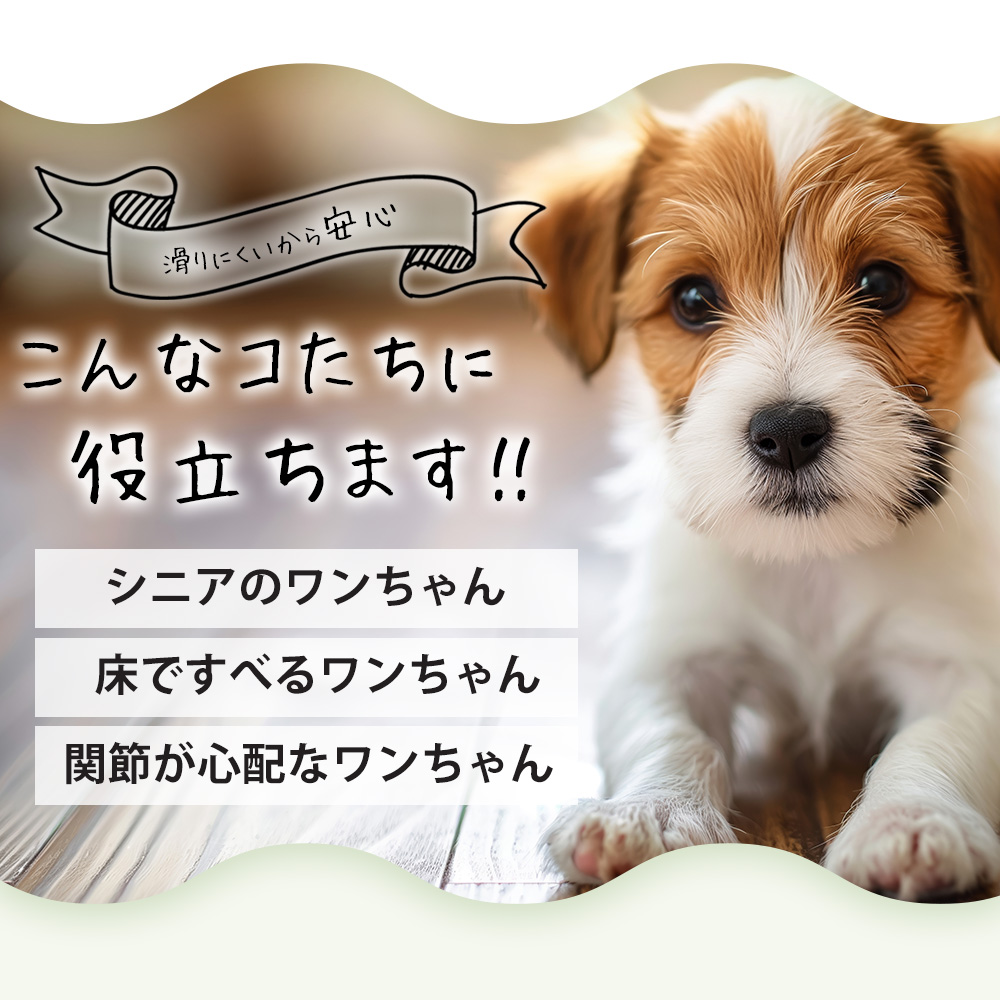 ペット用滑り止めフットパッド　PAW WING （Grip plus）