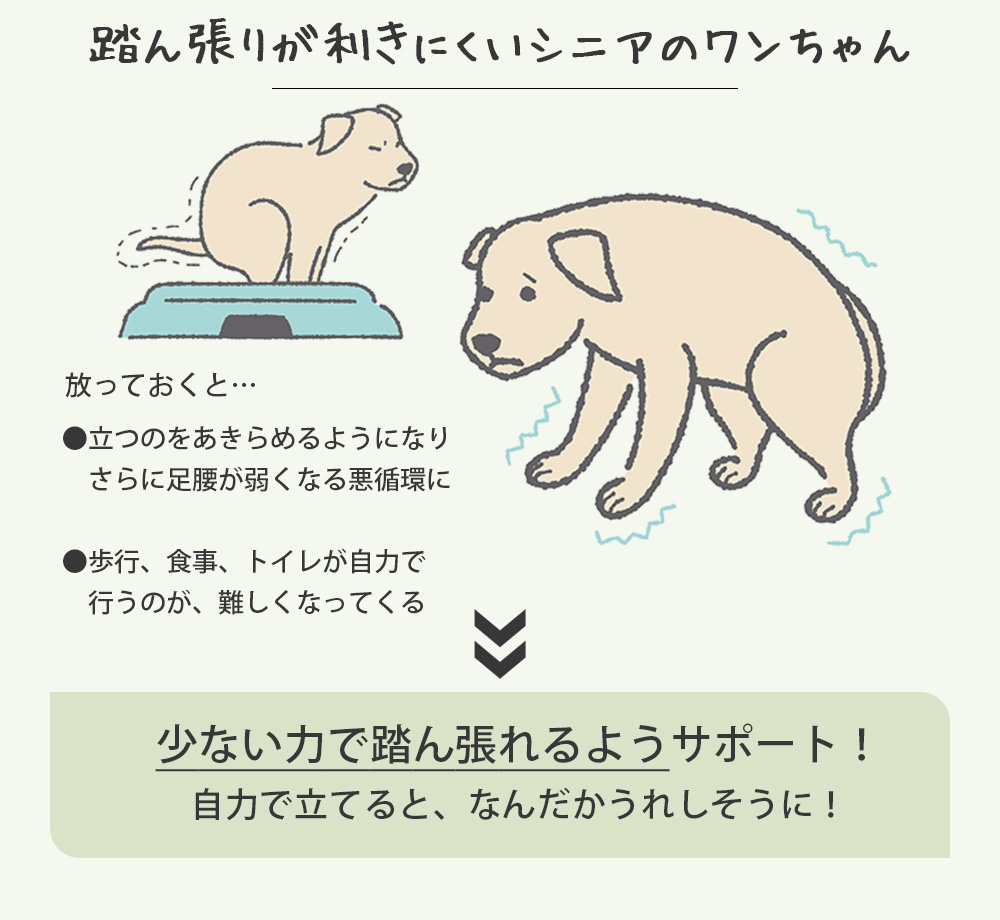 ペット用滑り止めフットパッド　PAW WING （Grip plus）