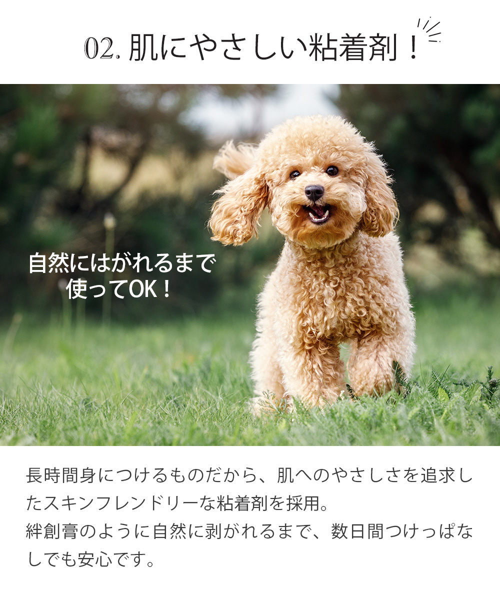 ペット用滑り止めフットパッド　PAW WING （Grip plus）