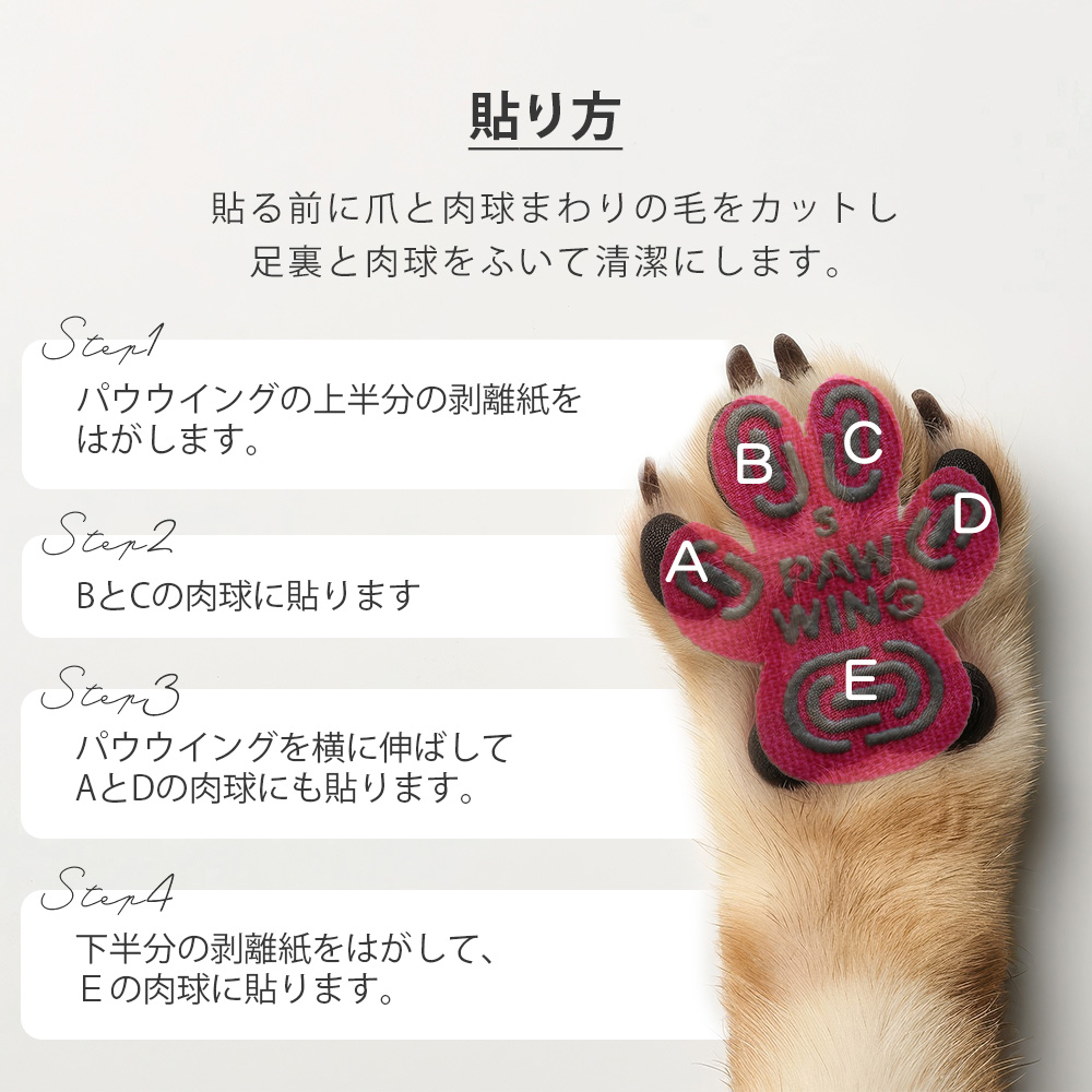 ペット用滑り止めフットパッド　PAW WING （Grip plus）