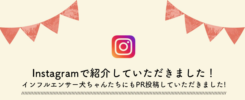 ペット用滑り止めフットパッド　PAW WING （Grip plus）