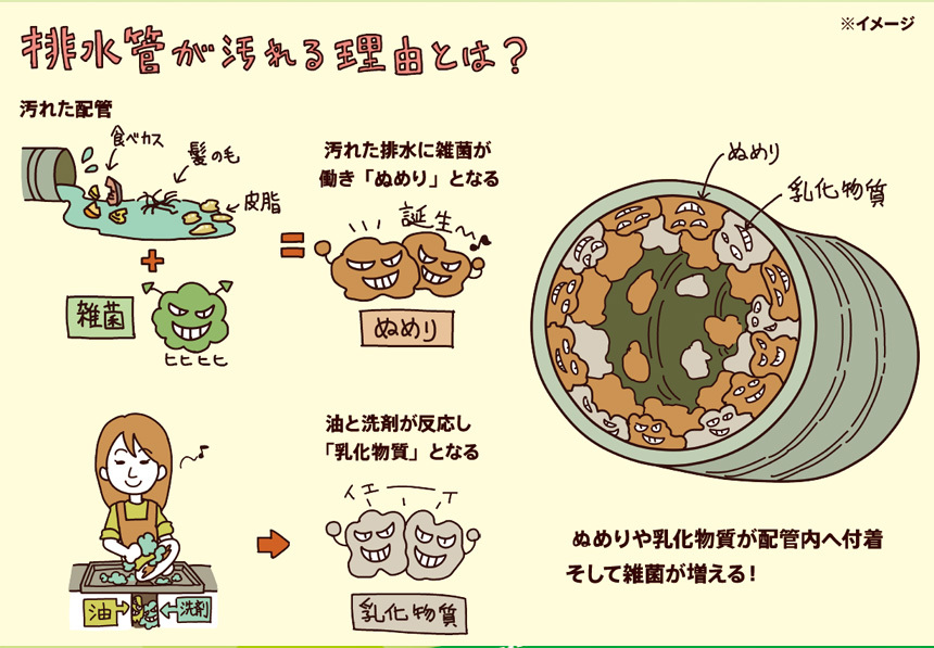 排水管洗浄液 バイオ 500ml 3袋組 つまり予防 排水管 排水溝 掃除 洗剤