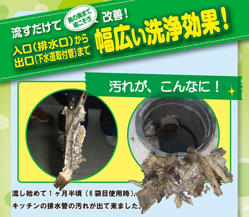 排水管洗浄液 バイオ 500ml 3袋組 つまり予防 排水管 排水溝 掃除 洗剤