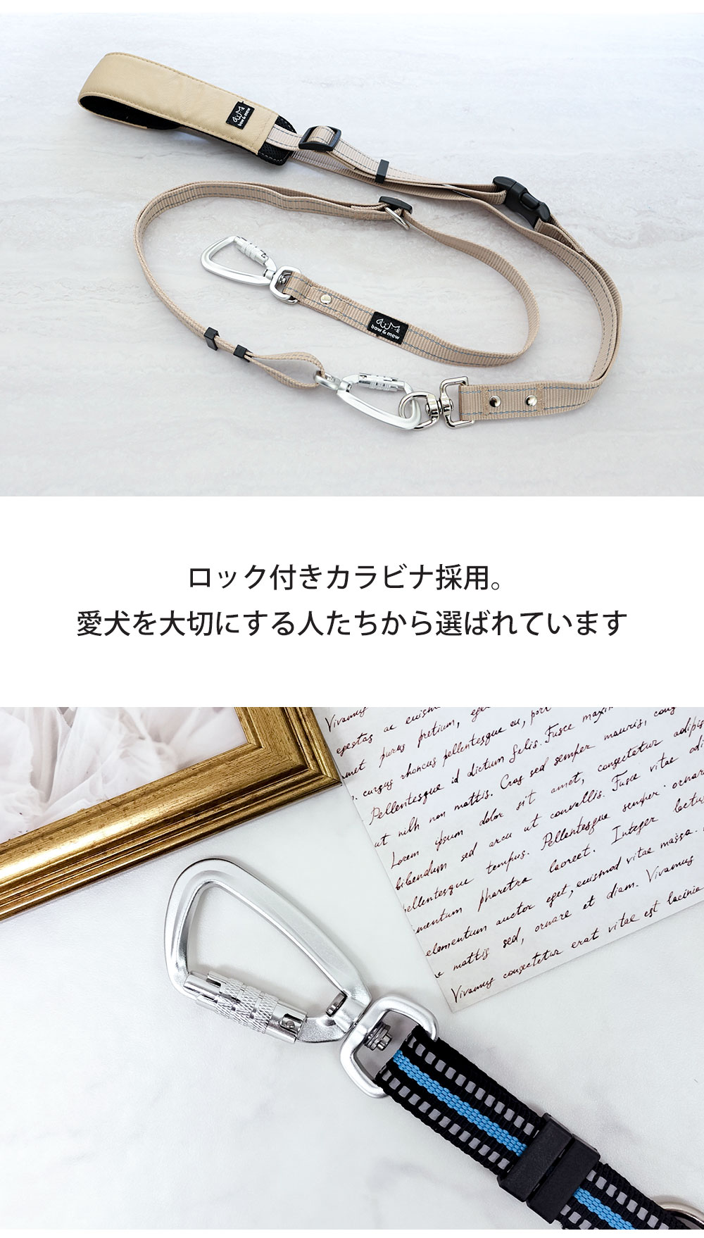 ショルダーリード