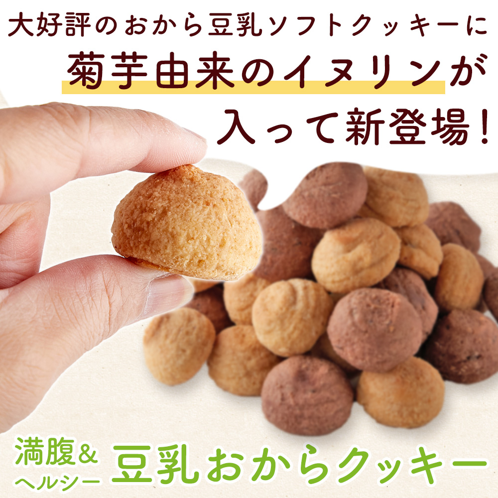 イヌリン入りソフト豆乳おからクッキー 500g（チョコ・オレンジ）