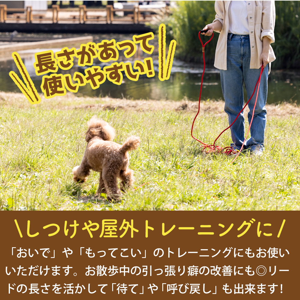 ◇限定Special Price ロングリード 10ｍ ブラック 散歩 犬 ドッグ ペット しつけ トレーニング 