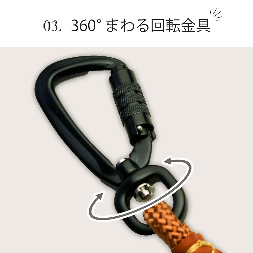 image10
