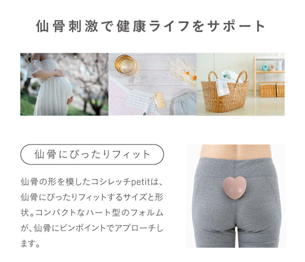 コシレッチpetit プチ