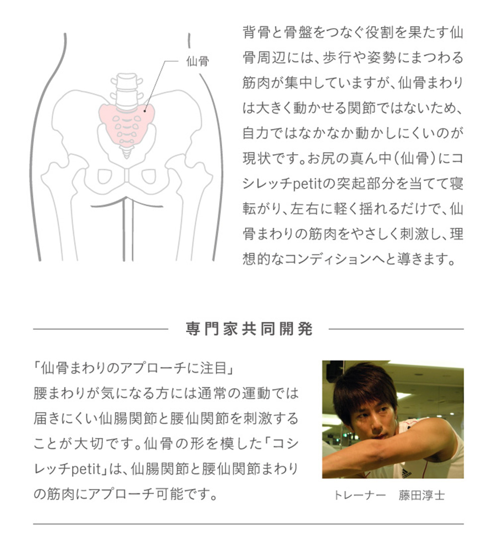 コシレッチpetit プチ