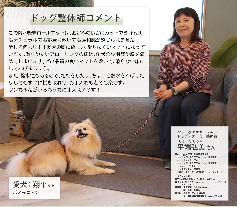 撥水吸着ロールマット［60cm×5m］